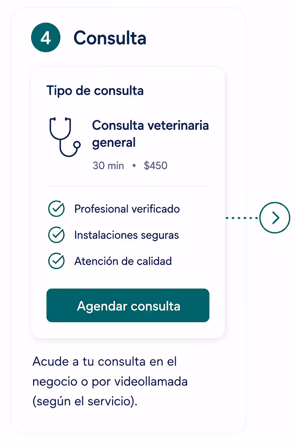 Paso 4: Consulta